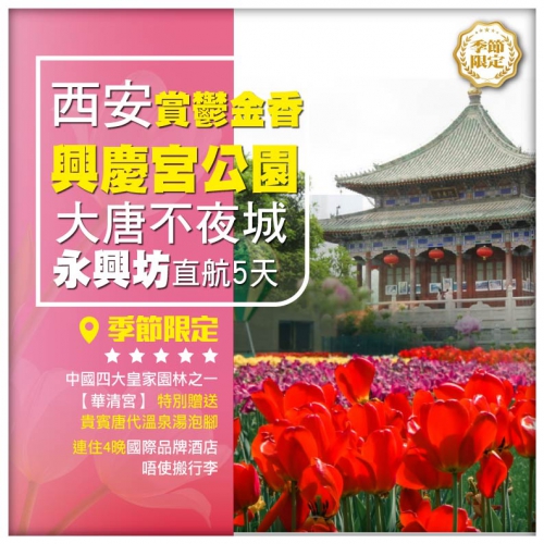 【西安•唐韻】華清宮 秦始皇兵馬俑 盛唐畫卷大唐不夜城 興慶宮公園賞鬱金香 永興坊歎美食 直航5天